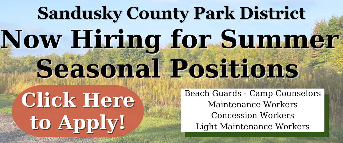 Seasonal Position Hiring Graphic