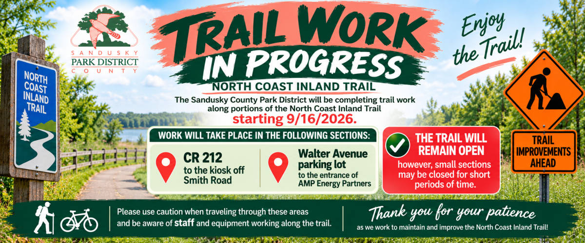 NCIT Work